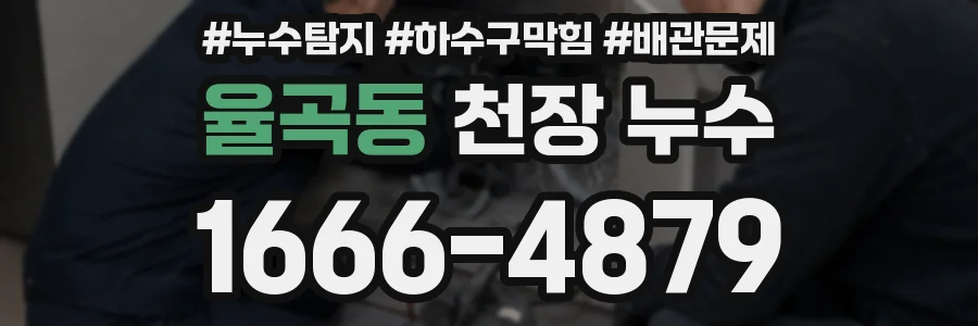 율곡동 천장 누수