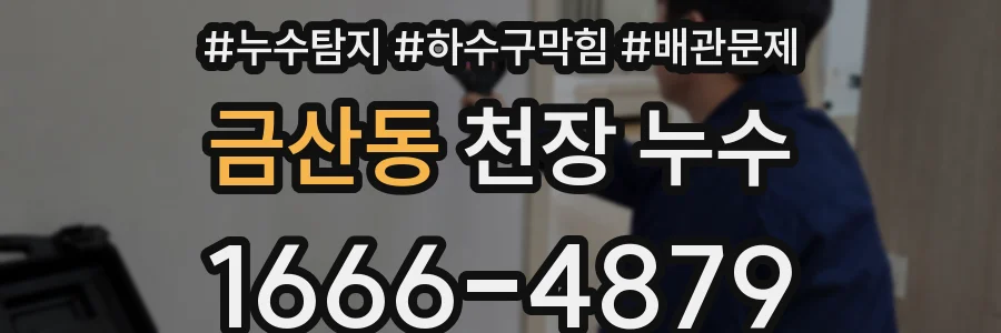 금산동 천장 누수