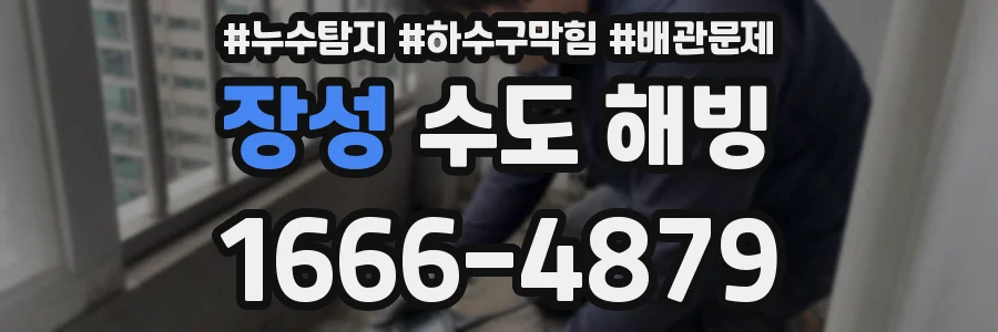 장성 수도 해빙