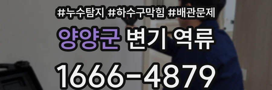 양양군 변기 역류