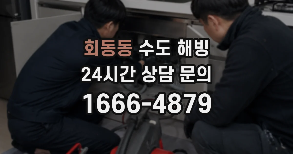 회동동 수도 해빙