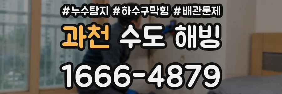 과천 수도 해빙