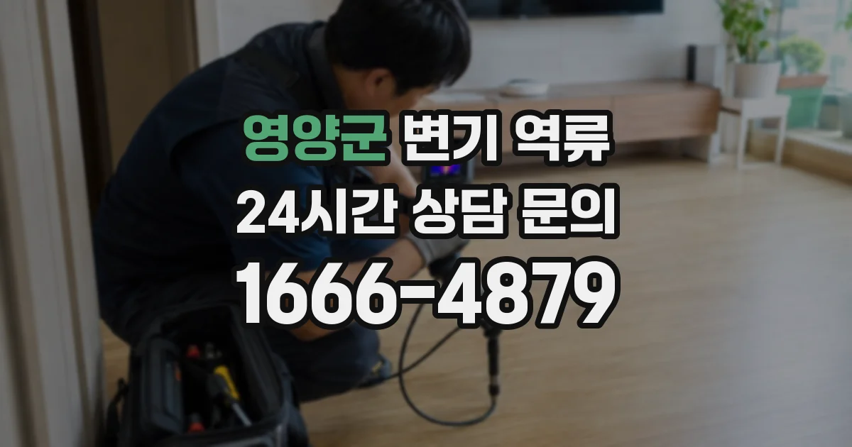 영양군 변기 역류