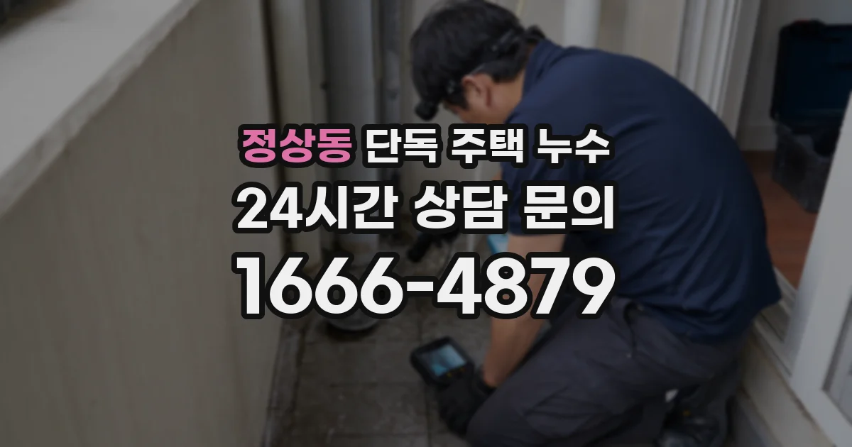 정상동 단독 주택 누수