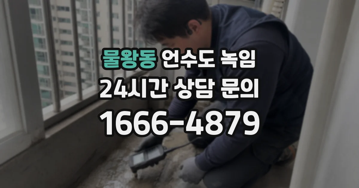 물왕동 언수도 녹임