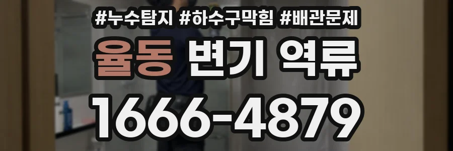 율동 변기 역류