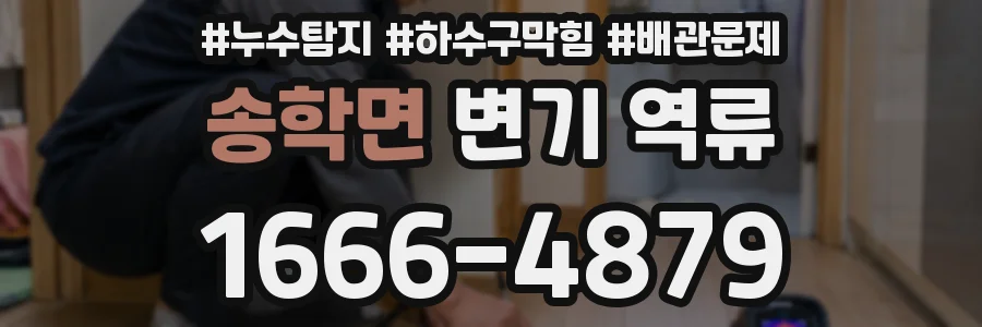 송학면 변기 역류