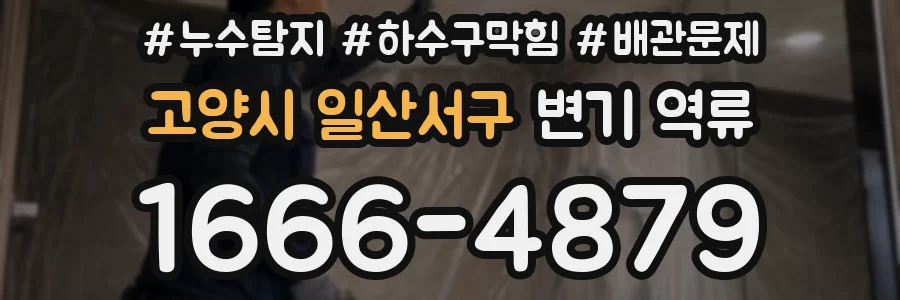 고양시 일산서구 변기 역류