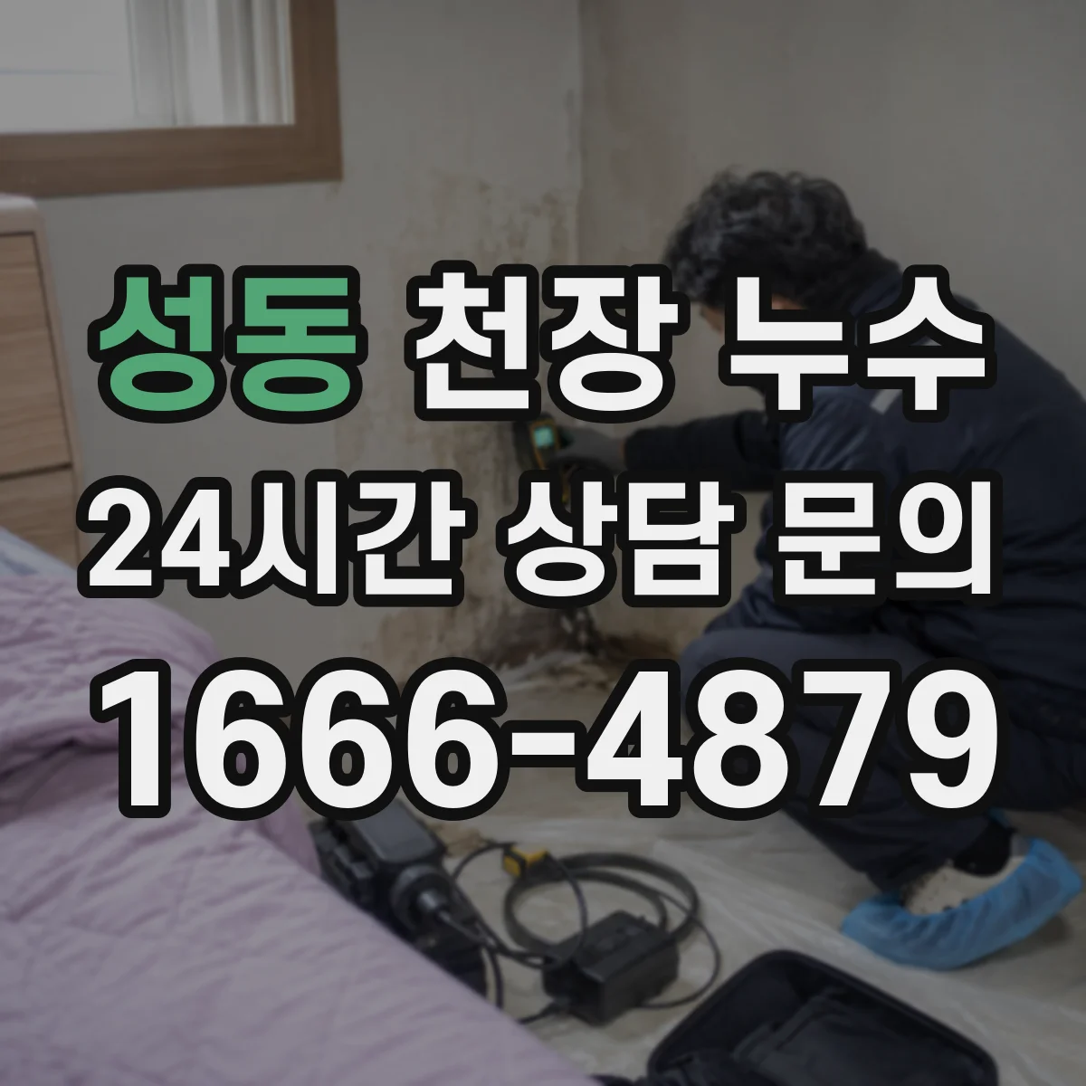 성동 천장 누수