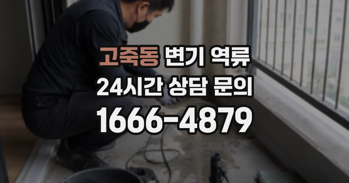 고죽동 변기 역류