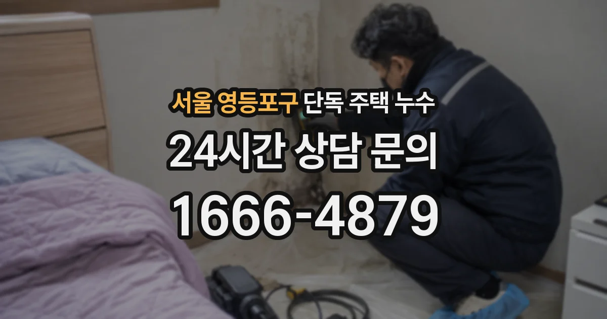 서울 영등포구 단독 주택 누수