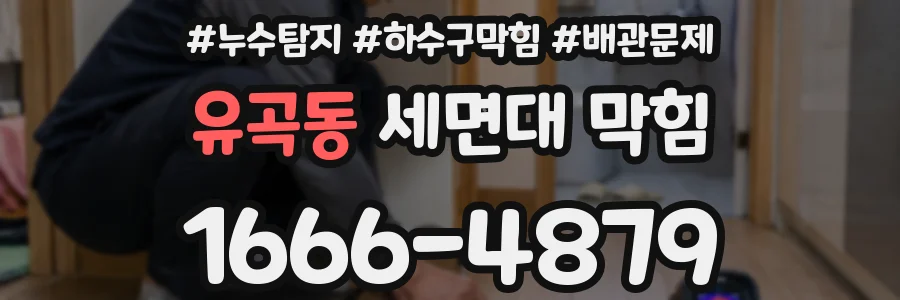 유곡동 세면대 막힘