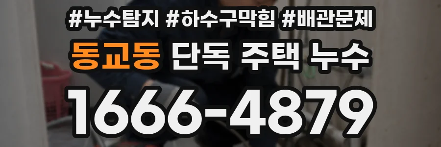 동교동 단독 주택 누수