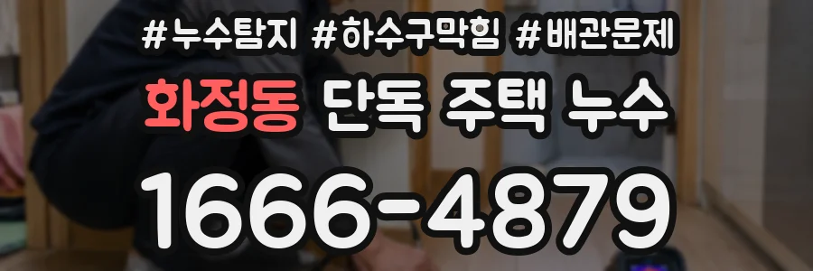 화정동 단독 주택 누수