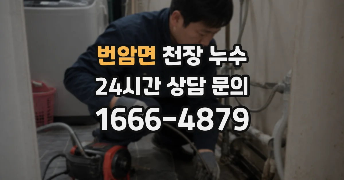번암면 천장 누수