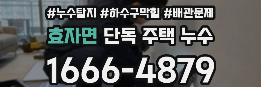 효자면 단독 주택 누수