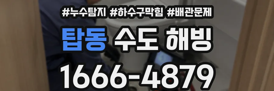 탑동 수도 해빙
