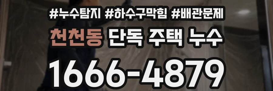 천천동 단독 주택 누수