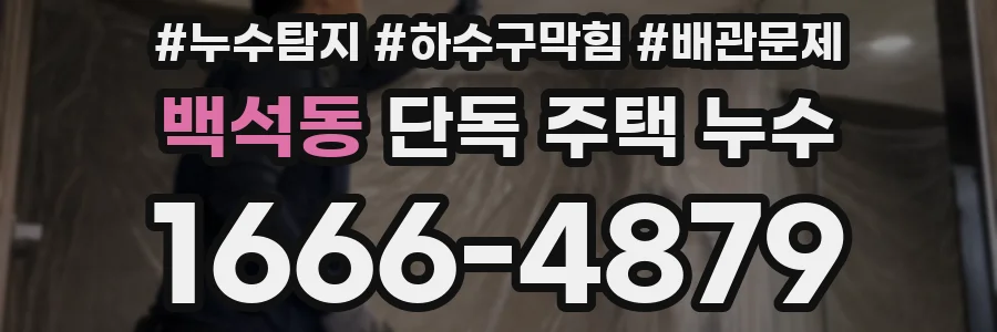 백석동 단독 주택 누수
