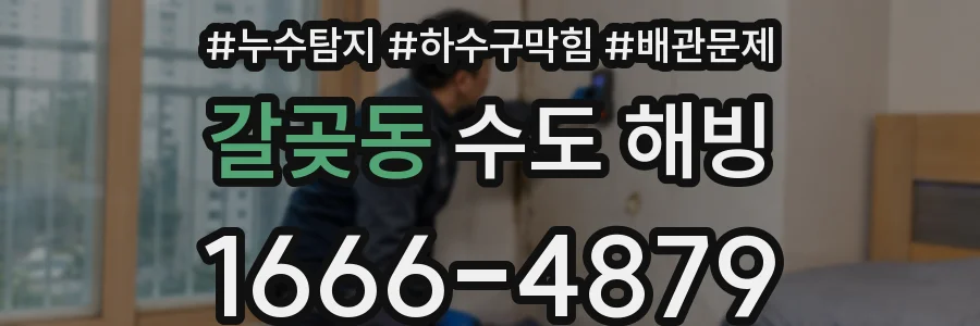 갈곶동 수도 해빙