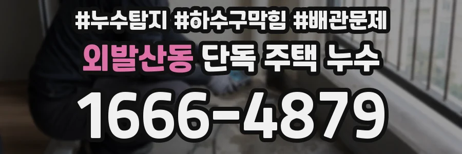 외발산동 단독 주택 누수