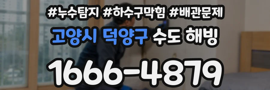 고양시 덕양구 수도 해빙