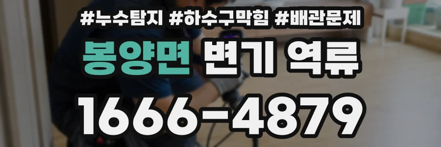 봉양면 변기 역류