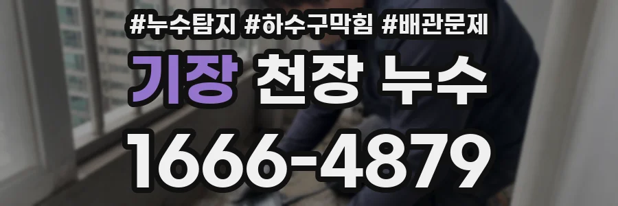 기장 천장 누수