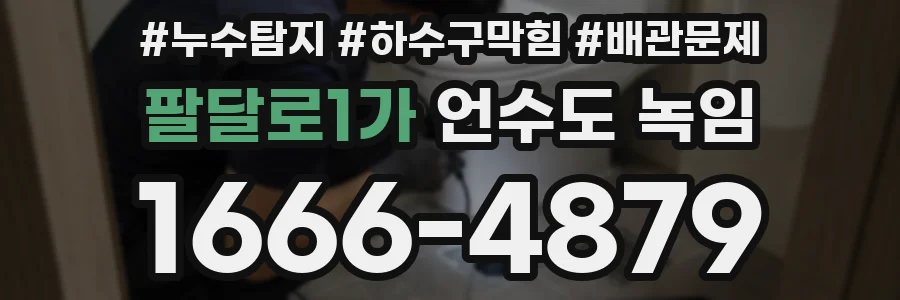 팔달로1가 언수도 녹임