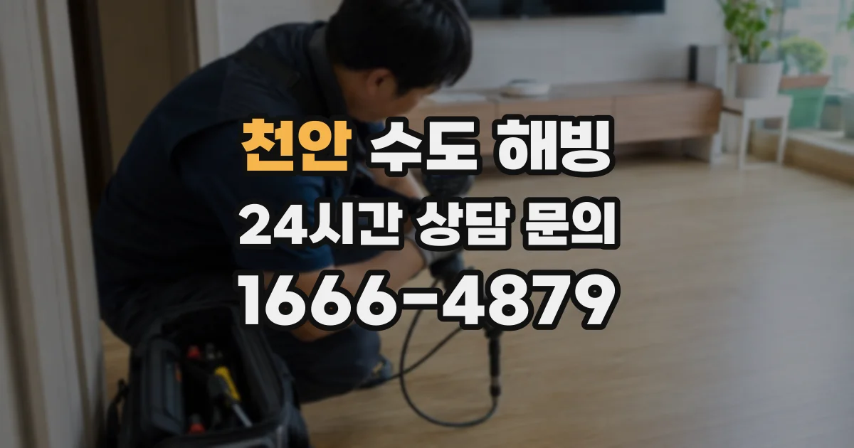 천안 수도 해빙
