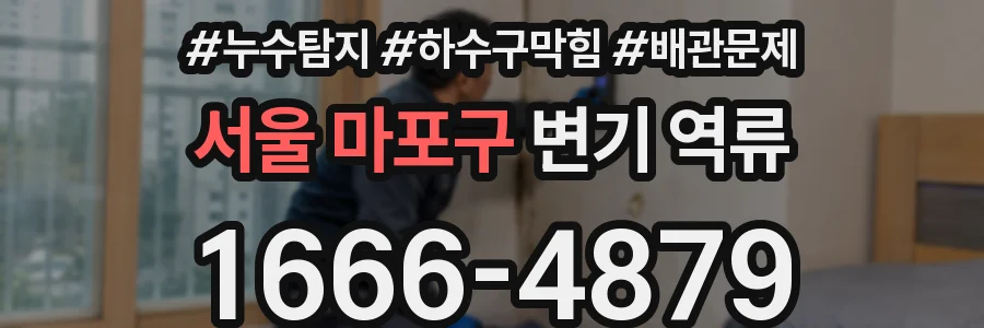 서울 마포구 변기 역류