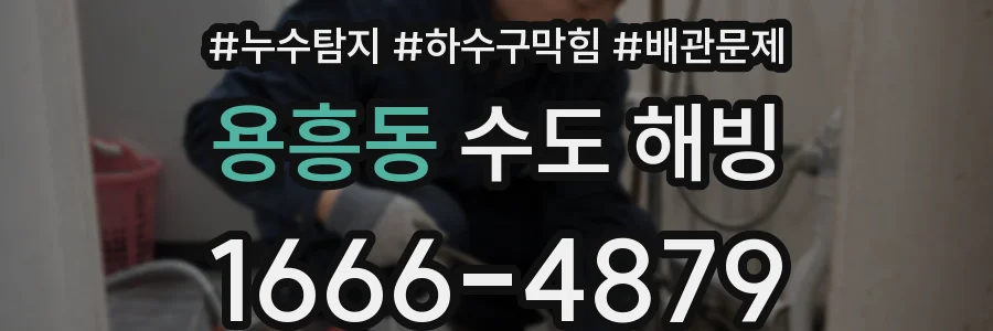 용흥동 수도 해빙