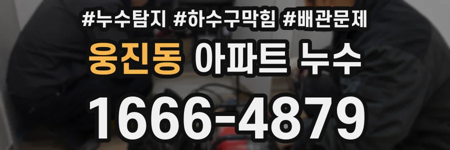 웅진동 아파트 누수