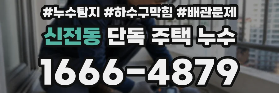 신전동 단독 주택 누수