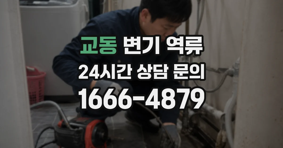 교동 변기 역류