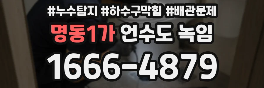 명동1가 언수도 녹임