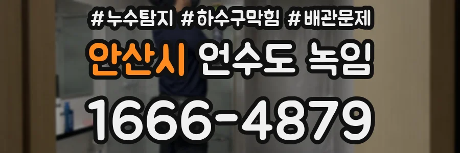 안산시 언수도 녹임