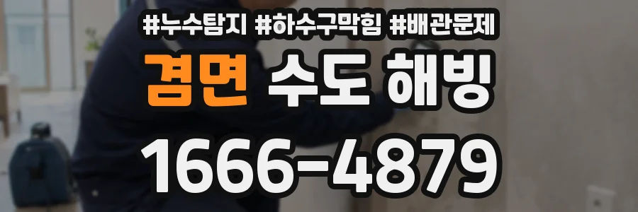겸면 수도 해빙