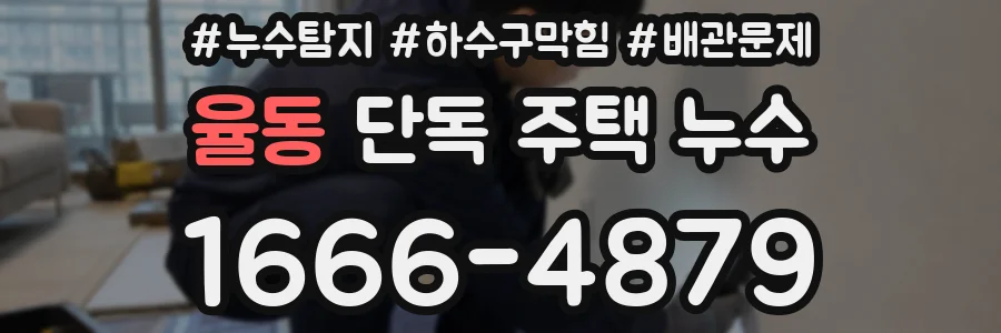 율동 단독 주택 누수
