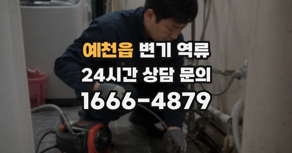 예천읍 변기 역류