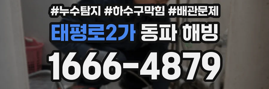 태평로2가 동파 해빙