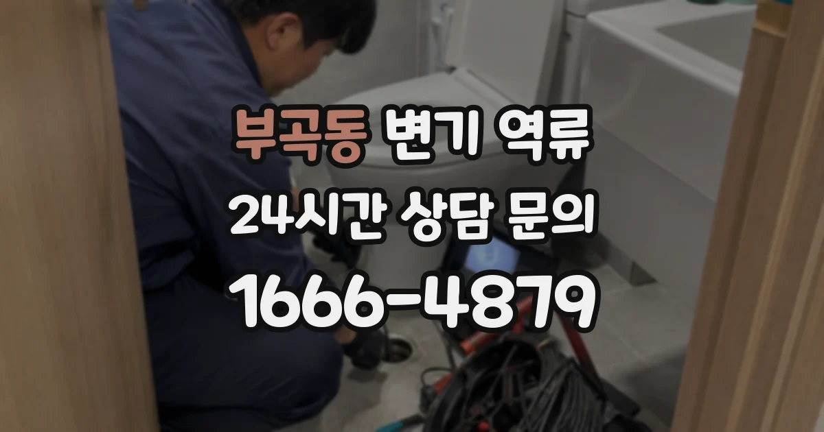 부곡동 변기 역류