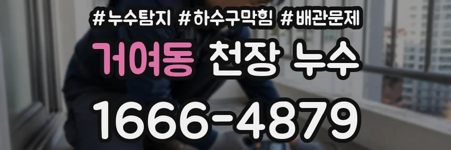 거여동 천장 누수
