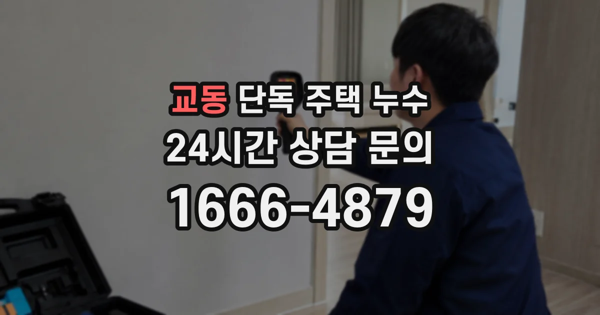교동 단독 주택 누수