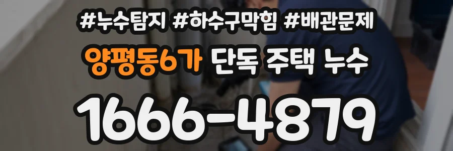 양평동6가 단독 주택 누수