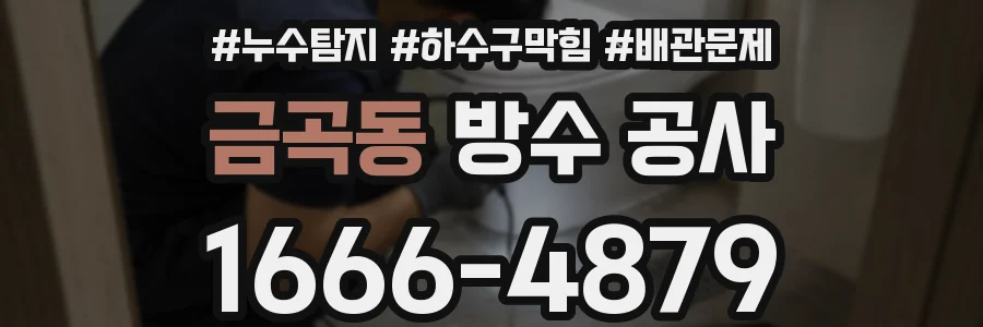 금곡동 방수 공사