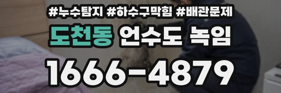 도천동 언수도 녹임