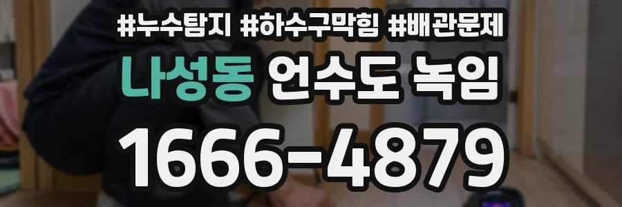 나성동 언수도 녹임