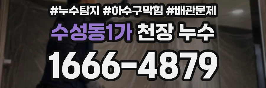 수성동1가 천장 누수