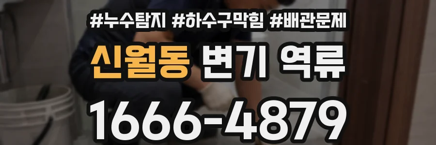 신월동 변기 역류